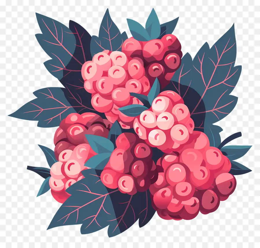 Framboises，Frais PNG