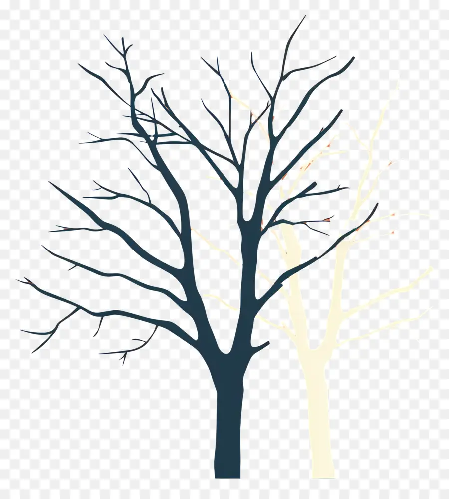 Des Arbres Nus，Branches Sombres PNG