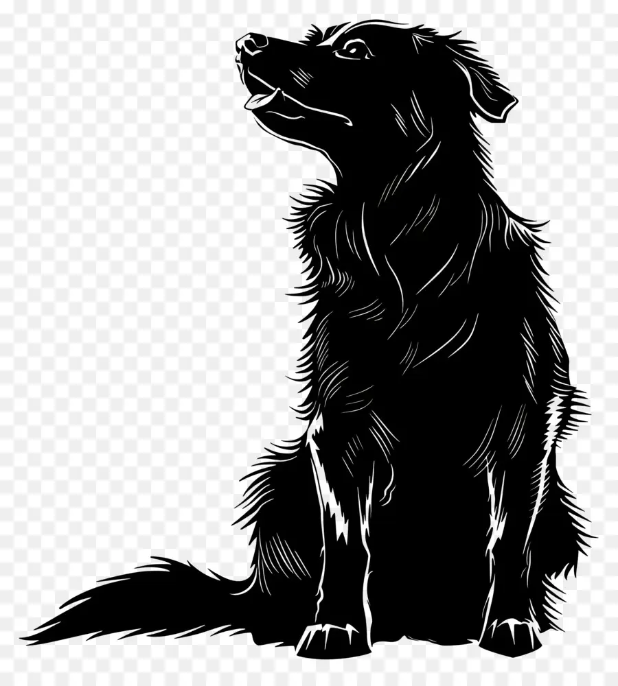 Silhouette De Chien，Chien PNG