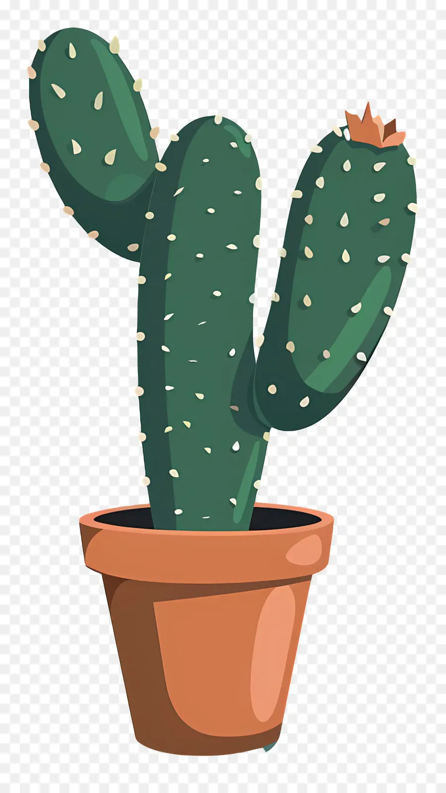 Cactus，Pot En Argile PNG