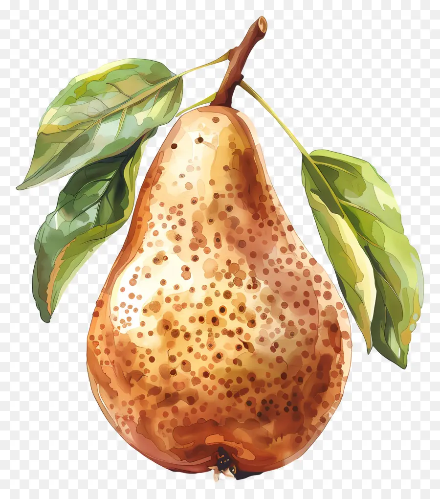 Poire，Vert PNG