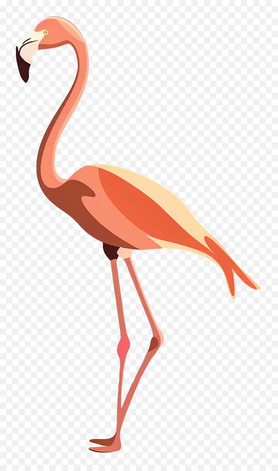 Flamingo，Oiseau PNG