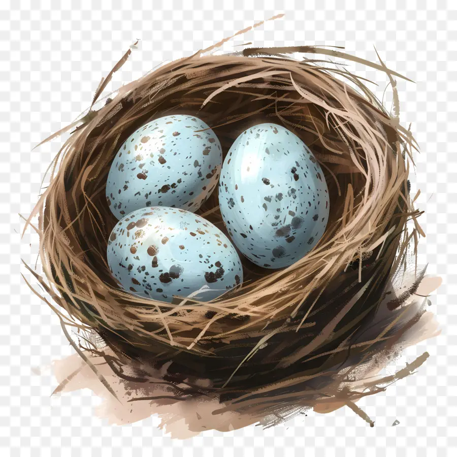 Les œufs D'oiseaux，Des Oeufs Bleus PNG