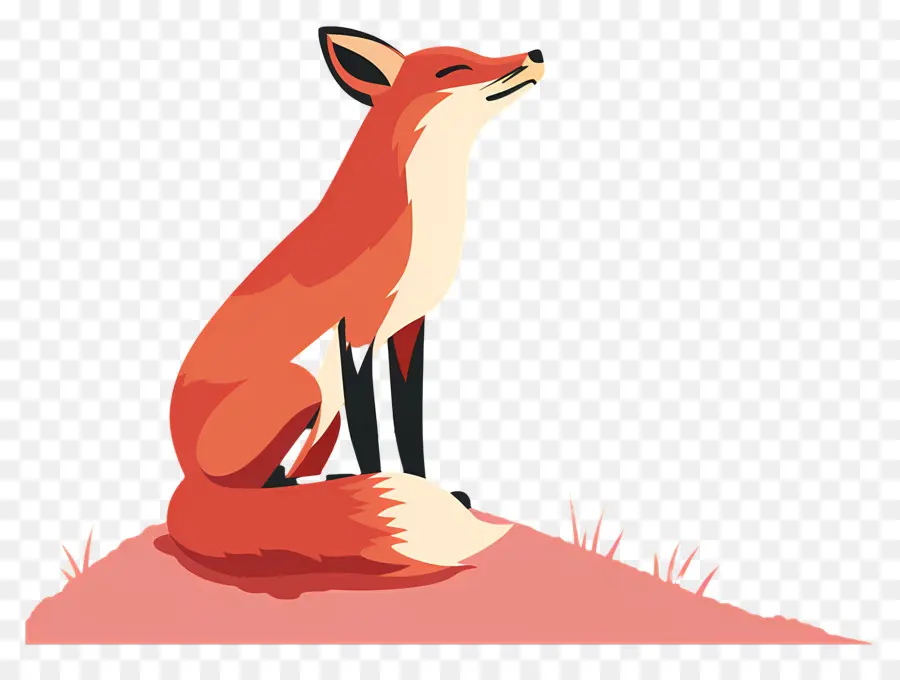 Renard，Orange PNG