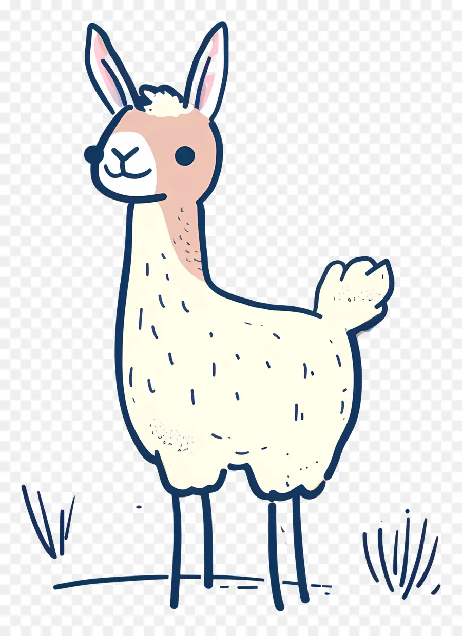 Lama，Mignon PNG