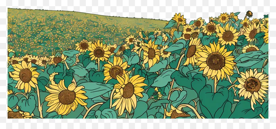 Champ De Tournesol，Tournesols PNG