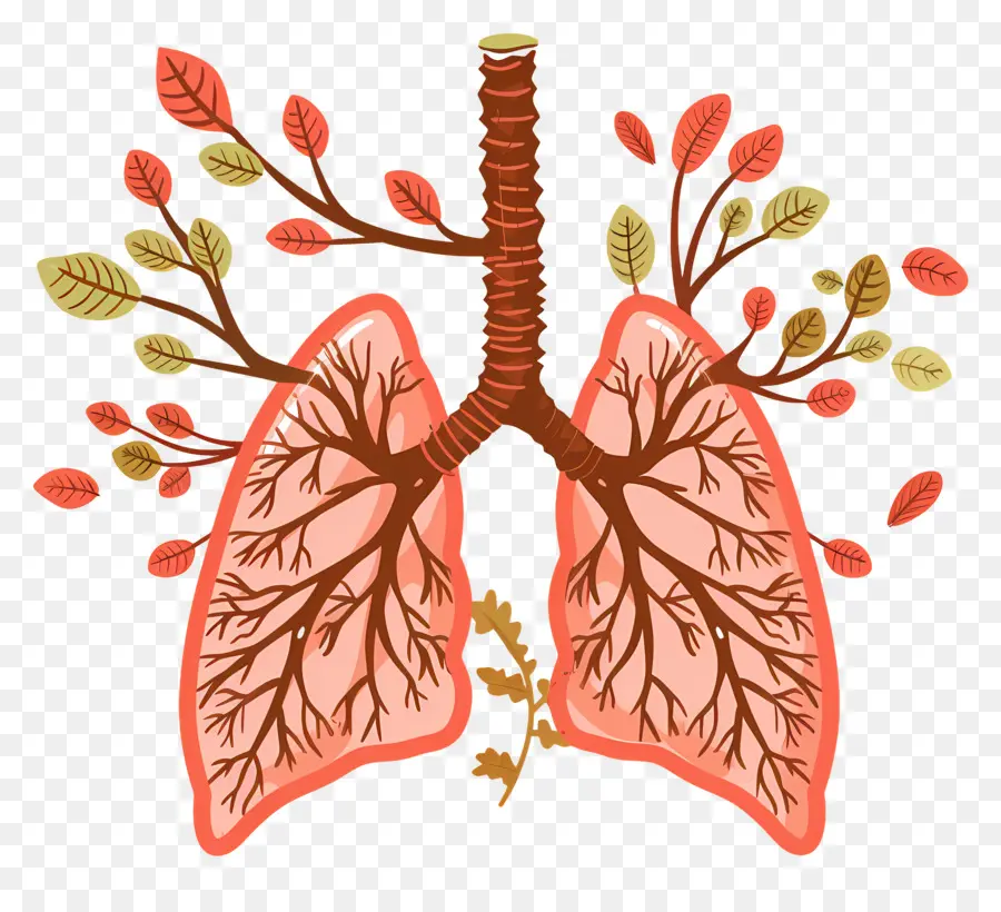 Journée Mondiale De Bronchectasis，Le Poumon Humain PNG