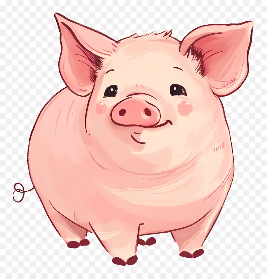 Cochon，Mignon PNG