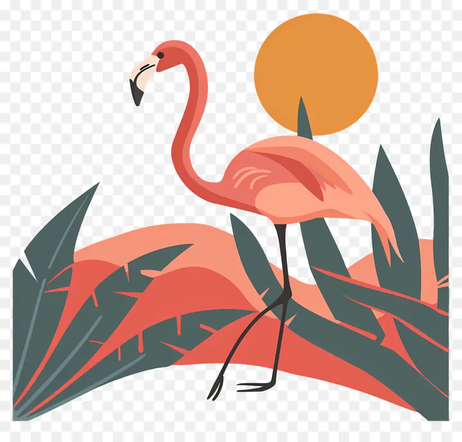 Flamingo，Rose PNG
