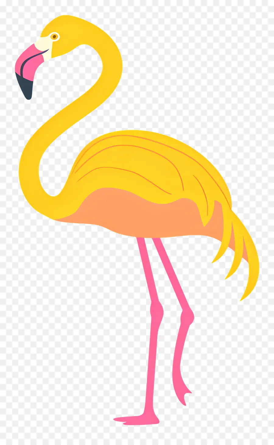 Flamingo，Jaune Flamingo PNG