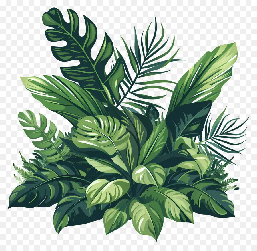 Végétation De Plante，Les Plantes PNG