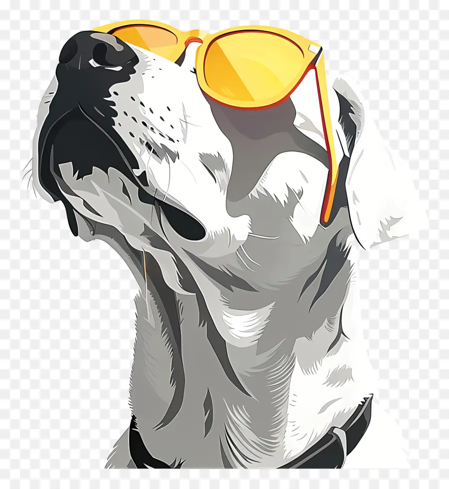 Chien，Chien Avec Des Lunettes De Soleil PNG