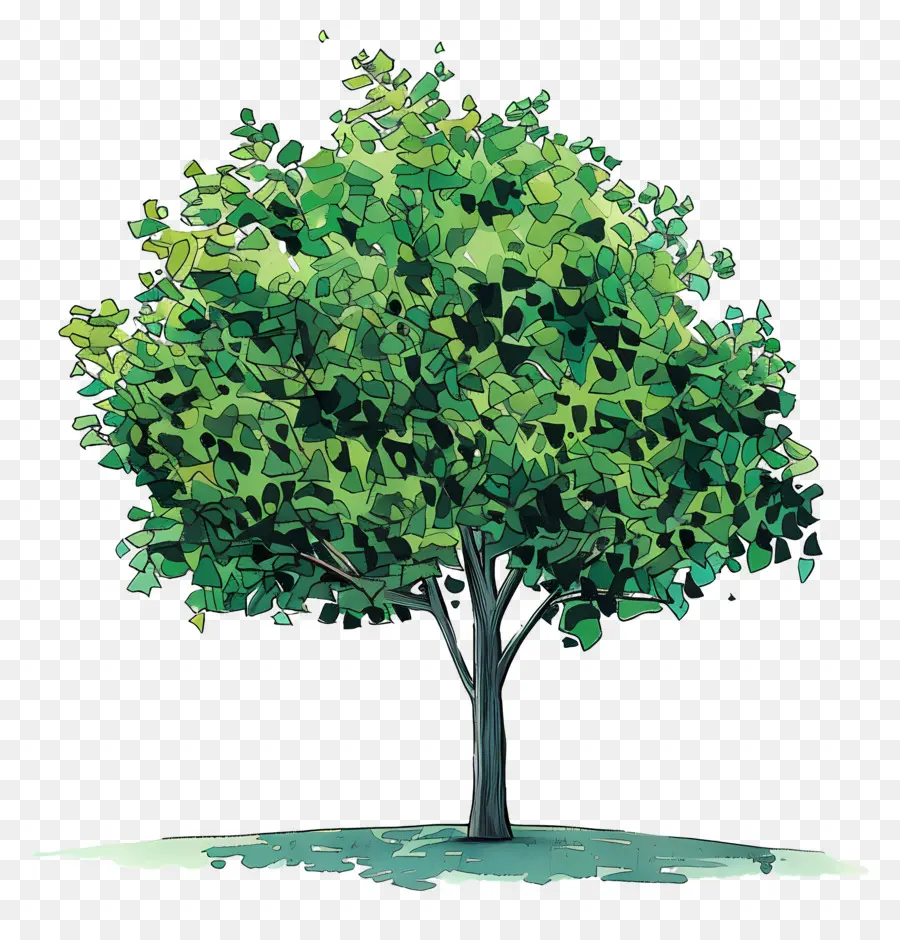 Arbre，Feuilles PNG