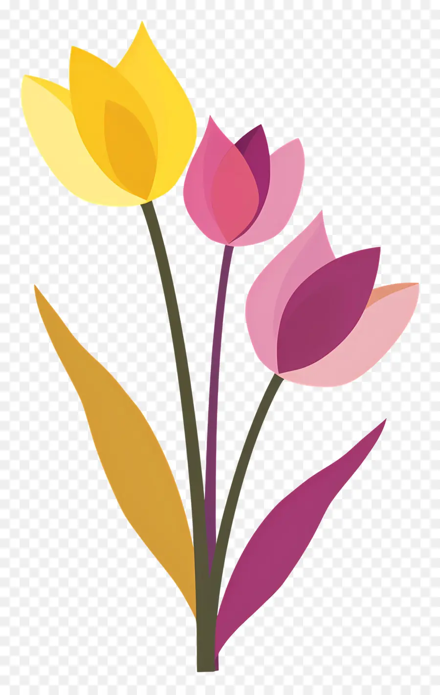Les Tulipes，Bouquet PNG