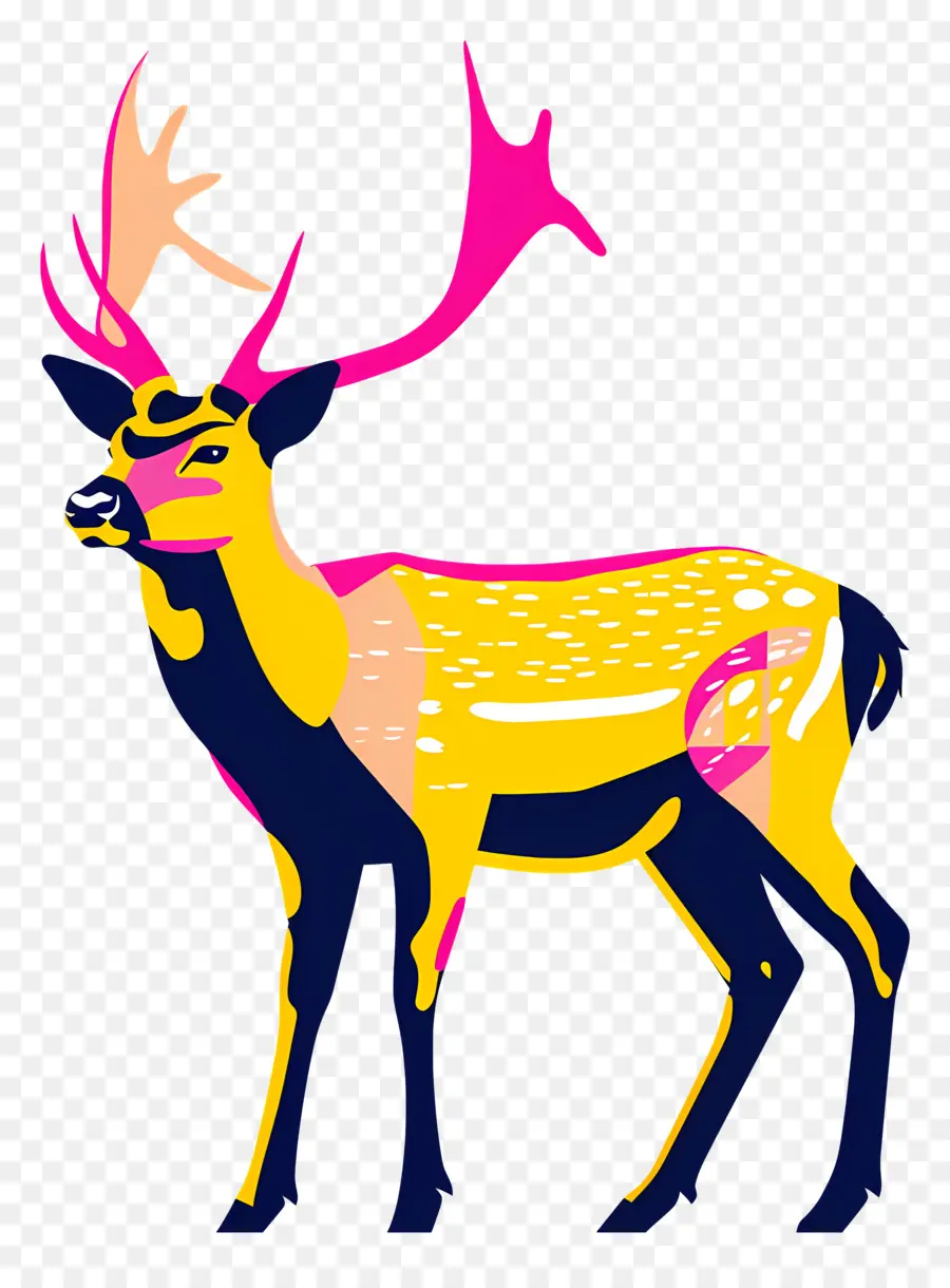 Cerf，Cerf Coloré PNG