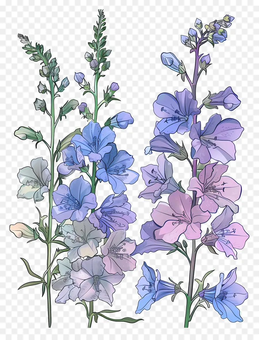 Le Pied D'alouette，Fleurs Bleues PNG