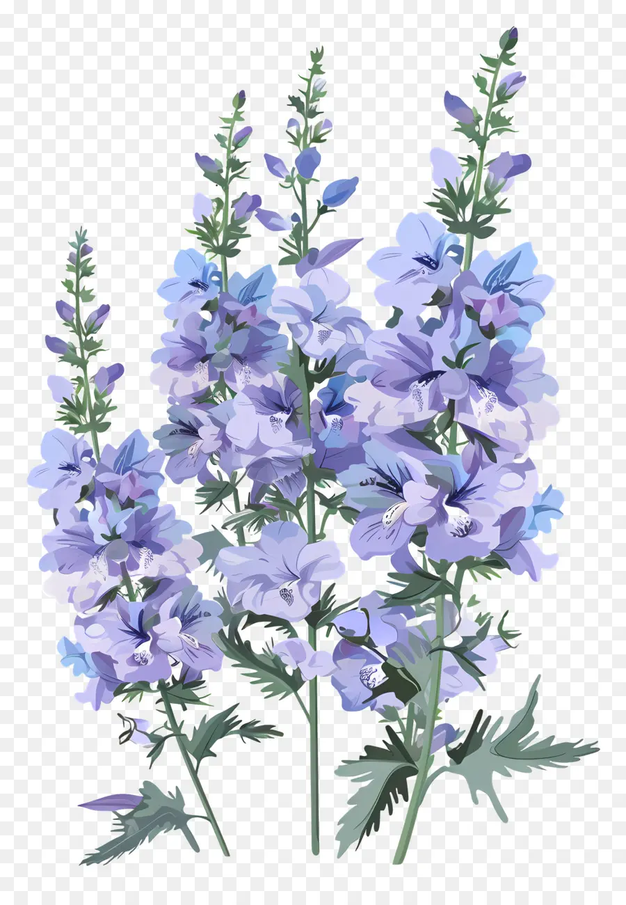 Le Pied D'alouette，Fleurs Bleues PNG