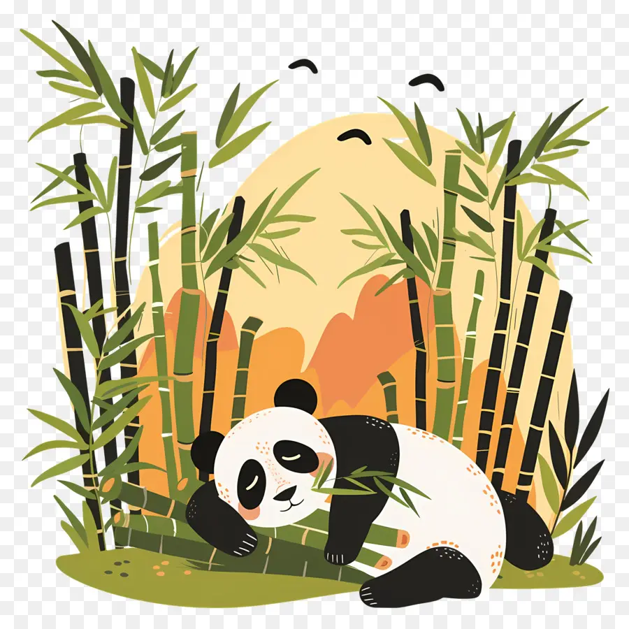 Dormir Panda，Ours De Panda PNG