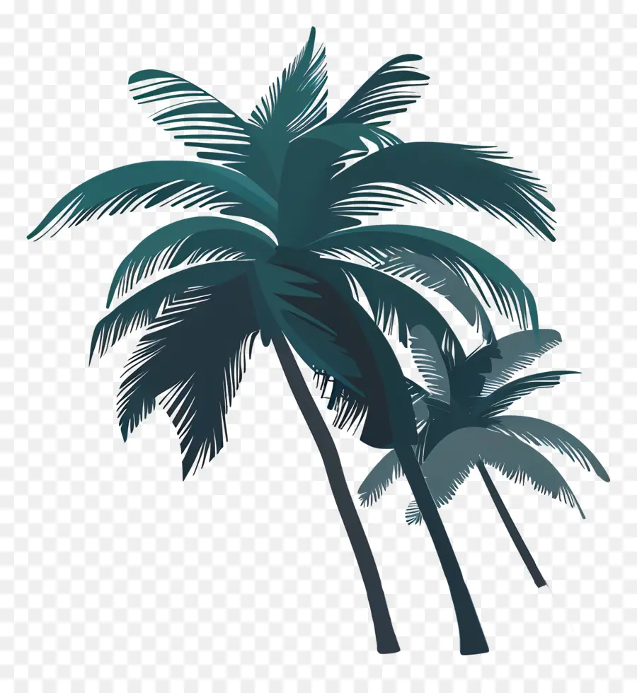 Plage L'été，Les Palmiers PNG