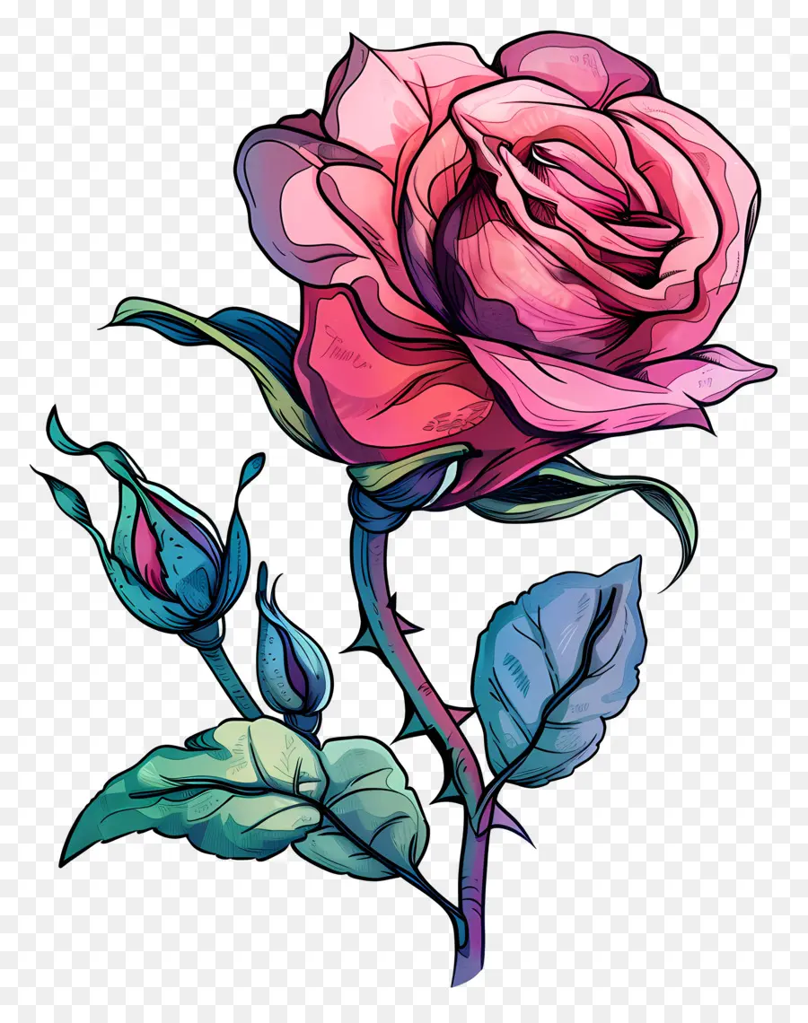 Rose，Beauté PNG