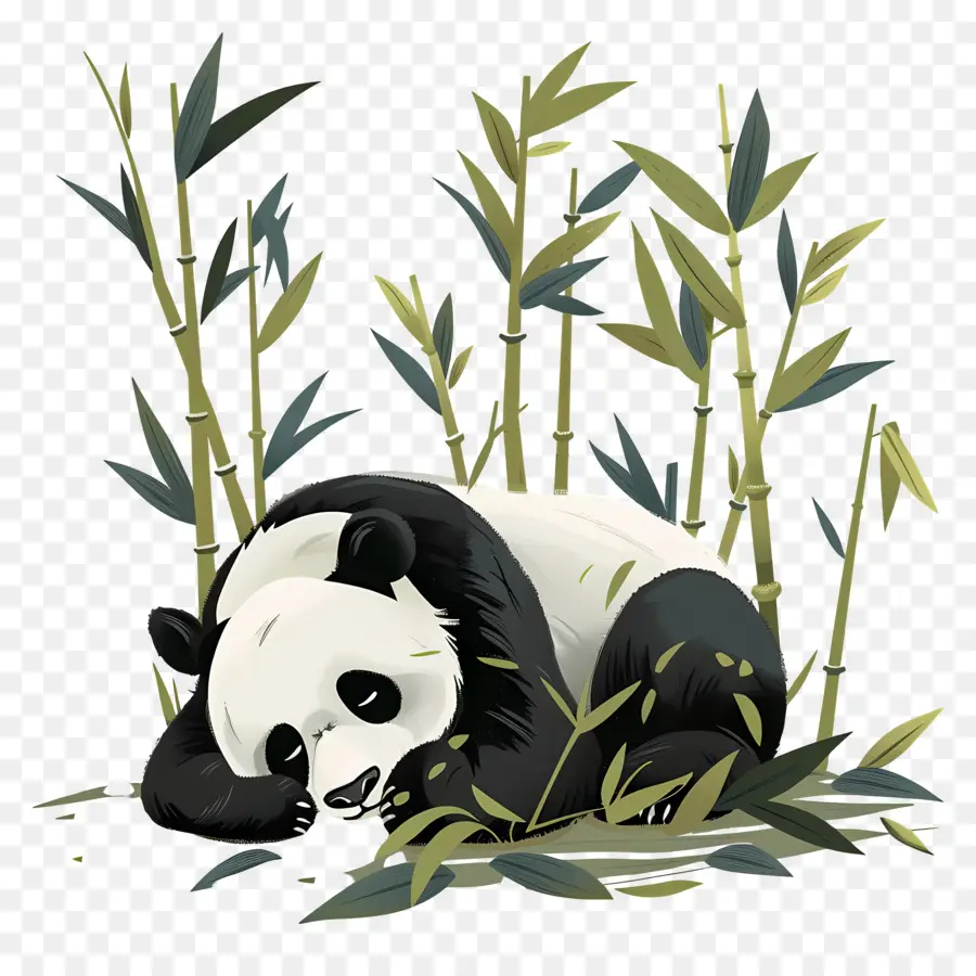Dormir Panda，Ours De Panda PNG