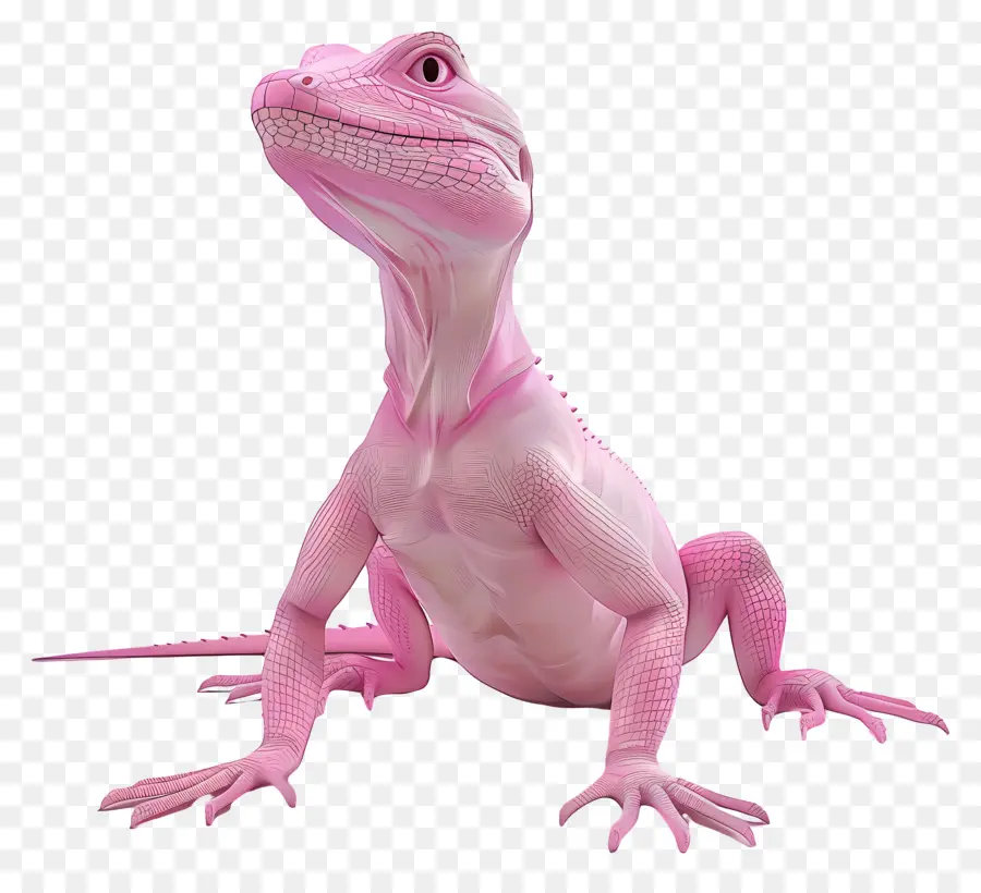 Rose，Lézard Rose PNG