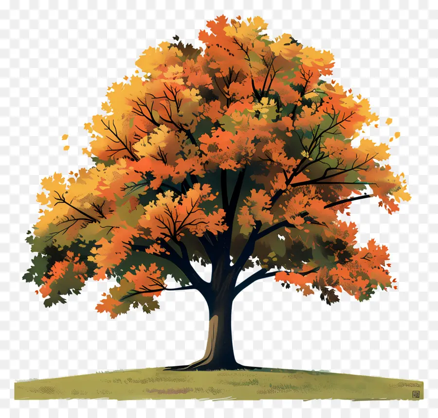 Arbre D'érable，L'automne PNG