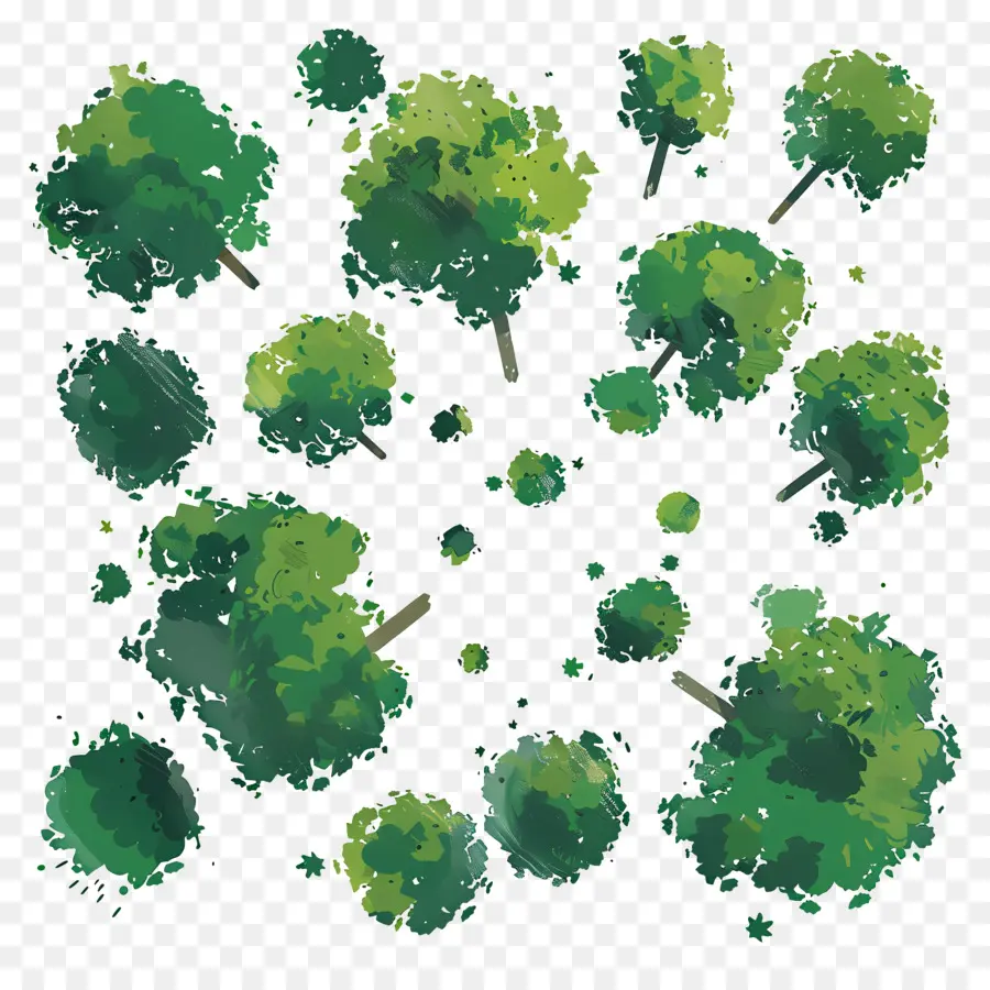 Vue De Dessus Du Paysage，Arbres Verts PNG