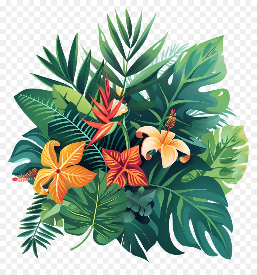 La Jungle Tropicale，Plantes Tropicales PNG