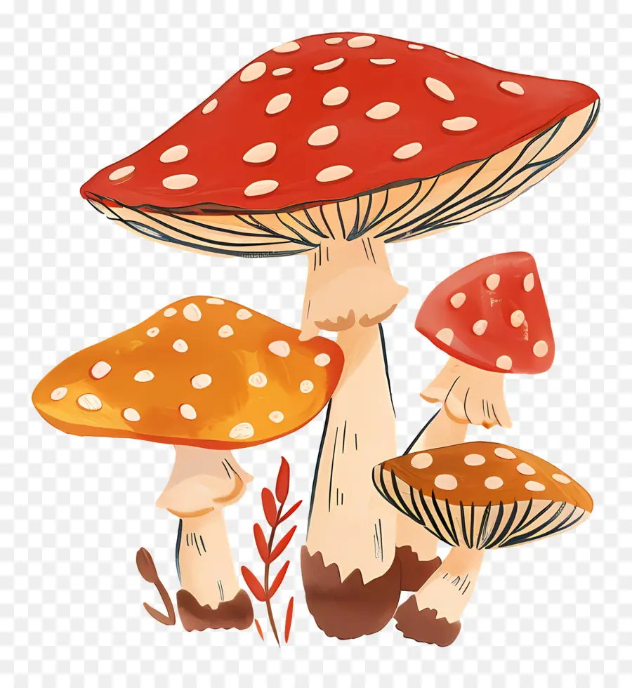 Champignon De Paris，Champignons Rouges PNG