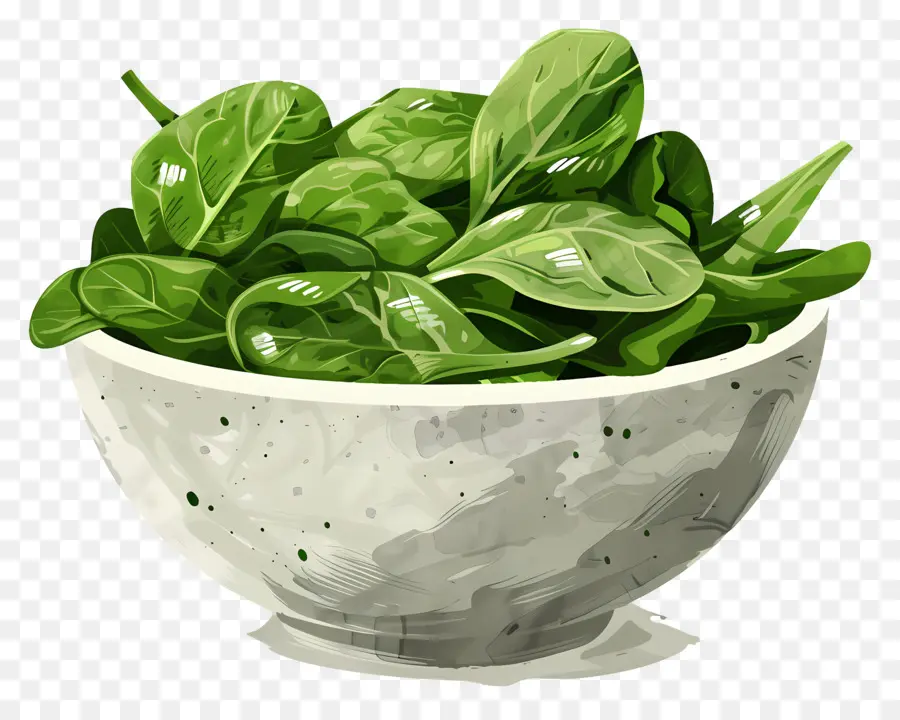 Salade D'épinards，Les épinards PNG