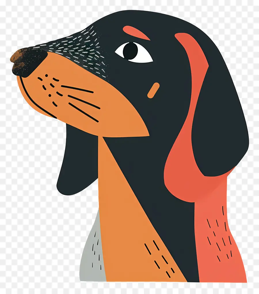 Chien，Brun PNG