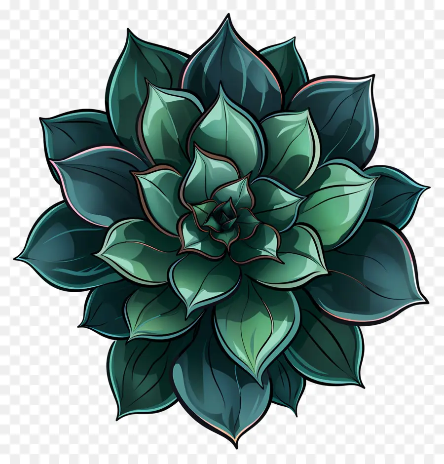 Plantes Succulentes，Succulent PNG