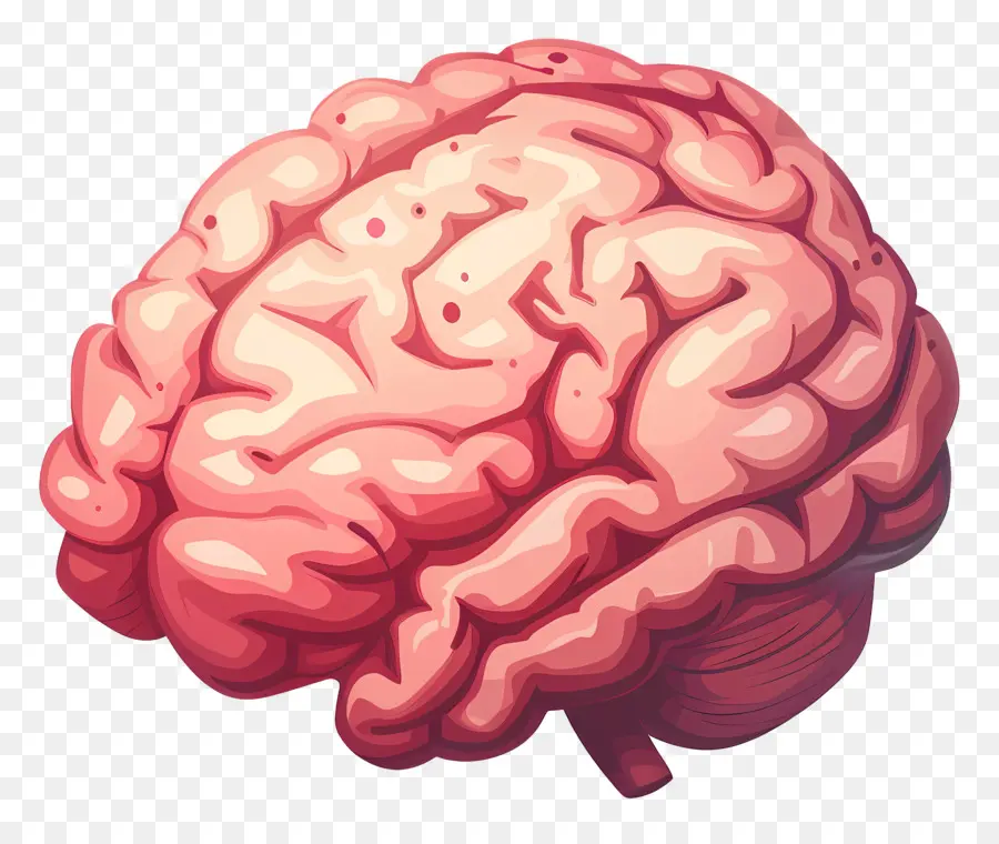 Cerveau Artificiel，Cerveau Orange PNG