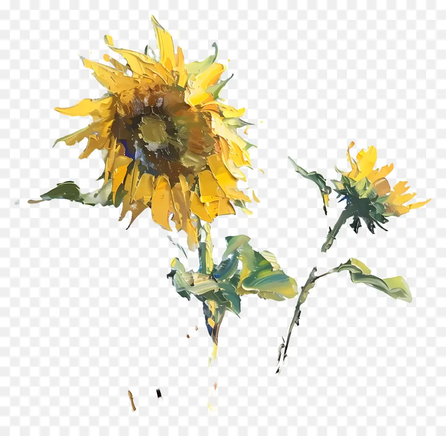 Peinture à L'huile，Tournesols PNG