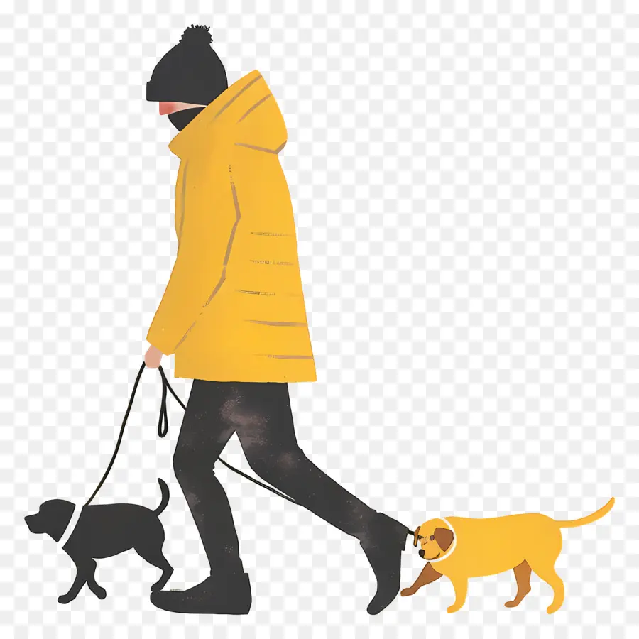 Homme Qui Promène Son Chien，Femme Qui Promène Son Chien PNG