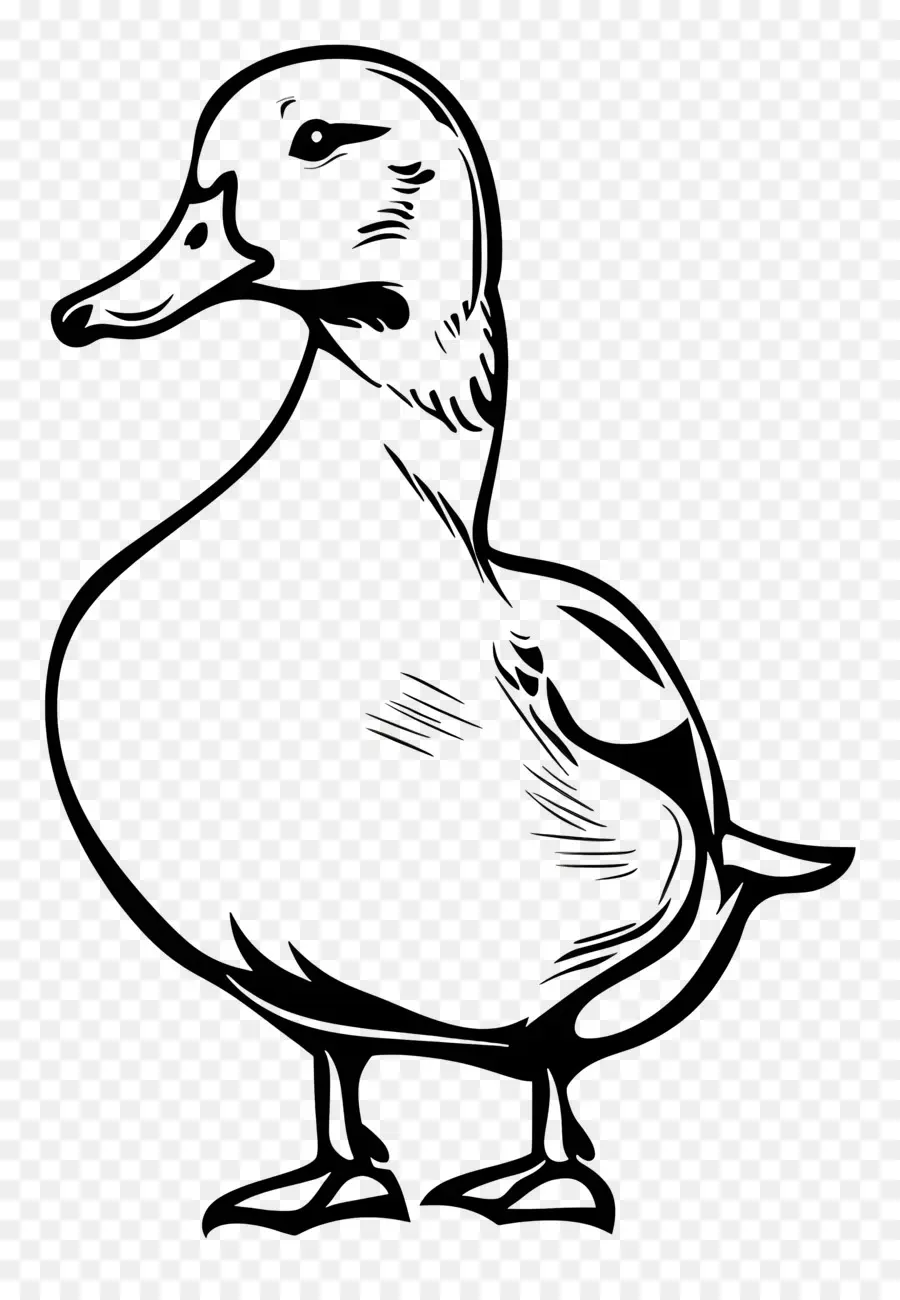 Canard，Silhouette PNG