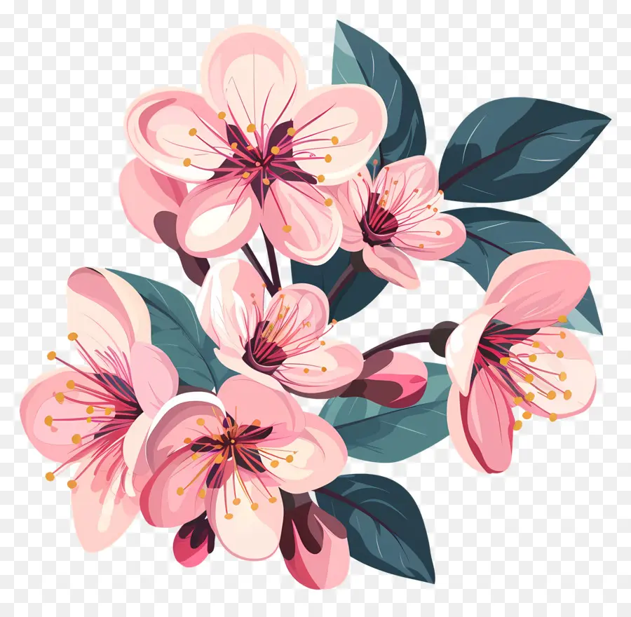 Blossoms Du Printemps，Fleurs De Cerisier PNG