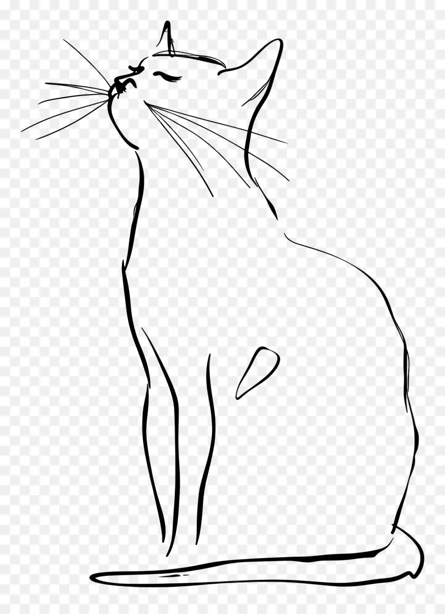 Un Dessin Au Trait，Croquis De Chat PNG