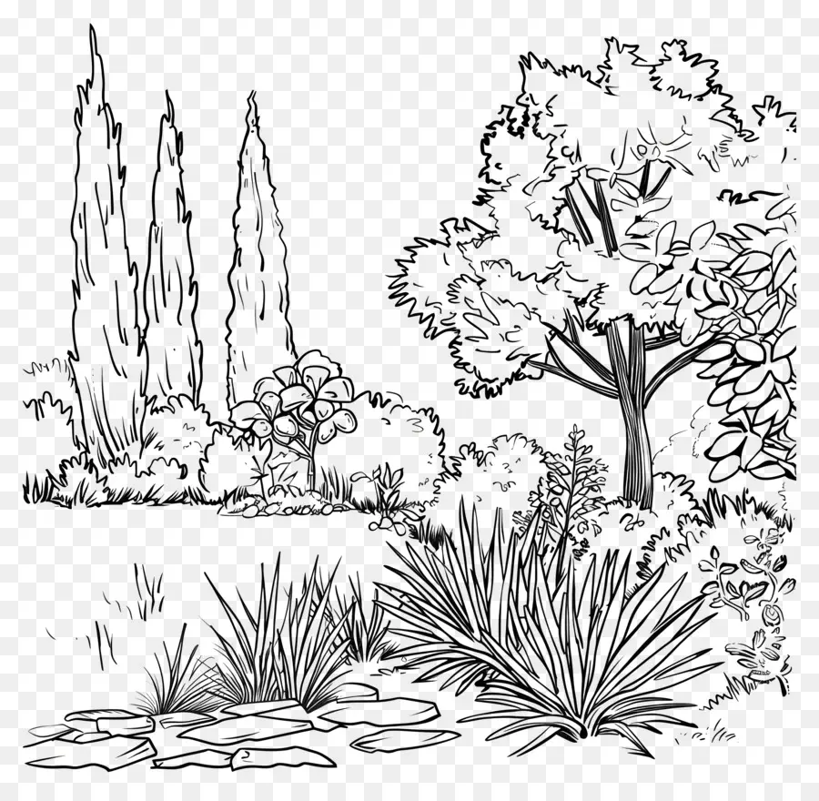 Jardin，Arbres PNG