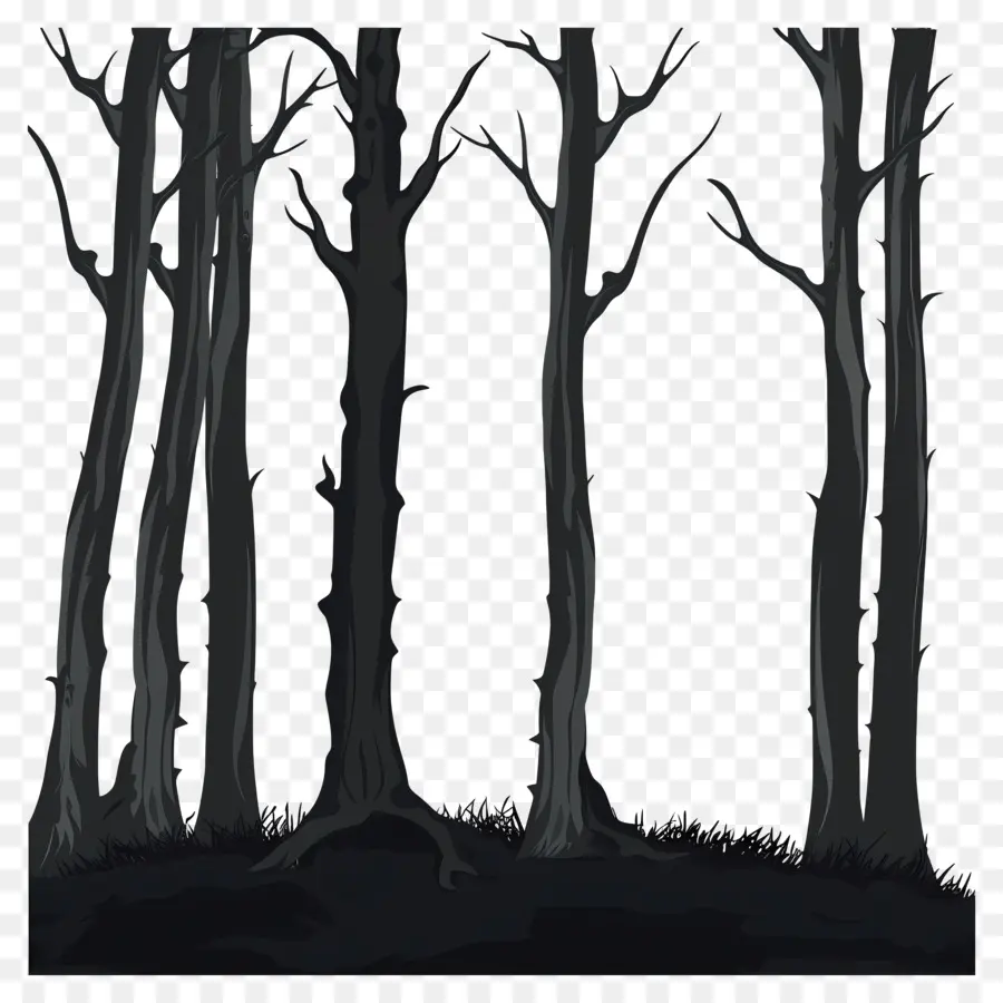 Forêt，Arbres Sombres PNG