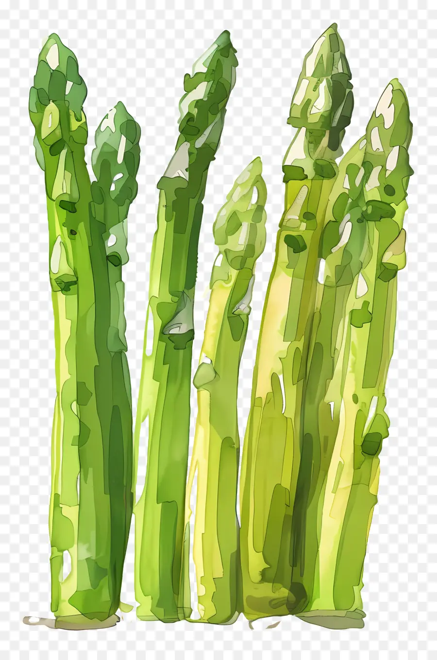 Asperge，Vert PNG