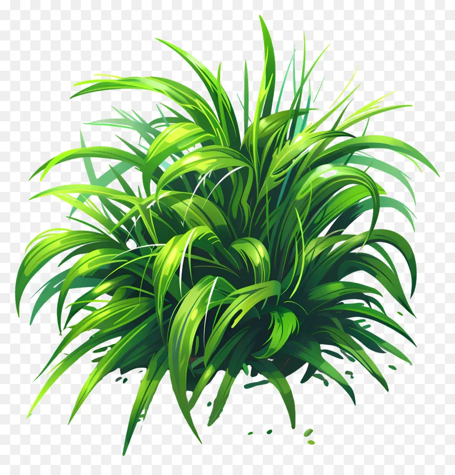 Verdure D'herbe，Plante Araignée PNG