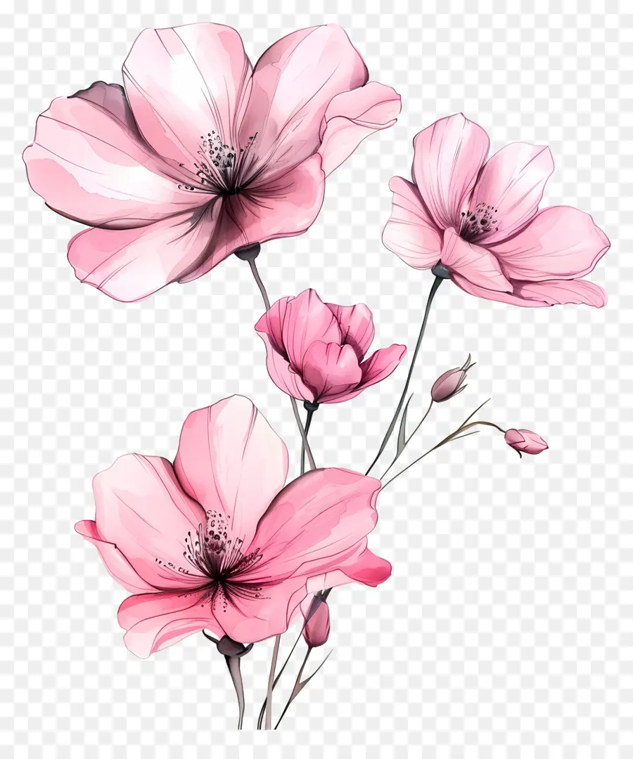 Fleurs Roses，Dessin PNG