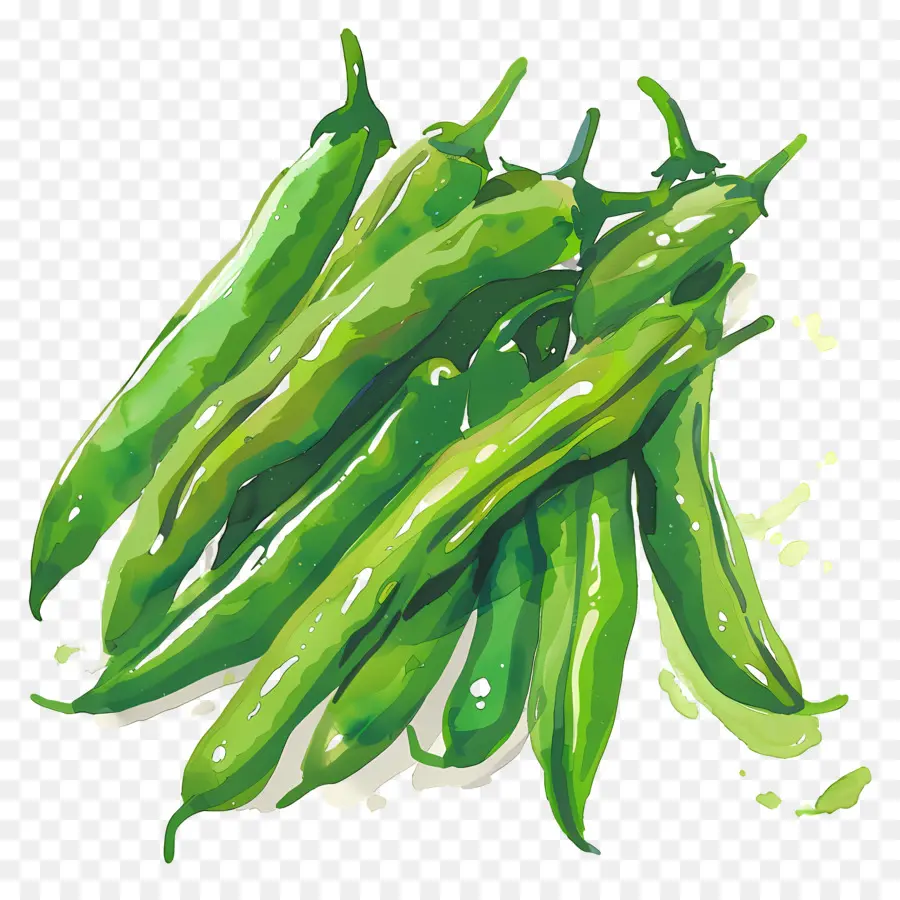 Haricots Verts，Légume PNG