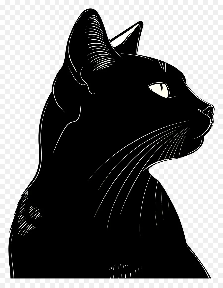 Silhouette De Chat，Chat Noir PNG