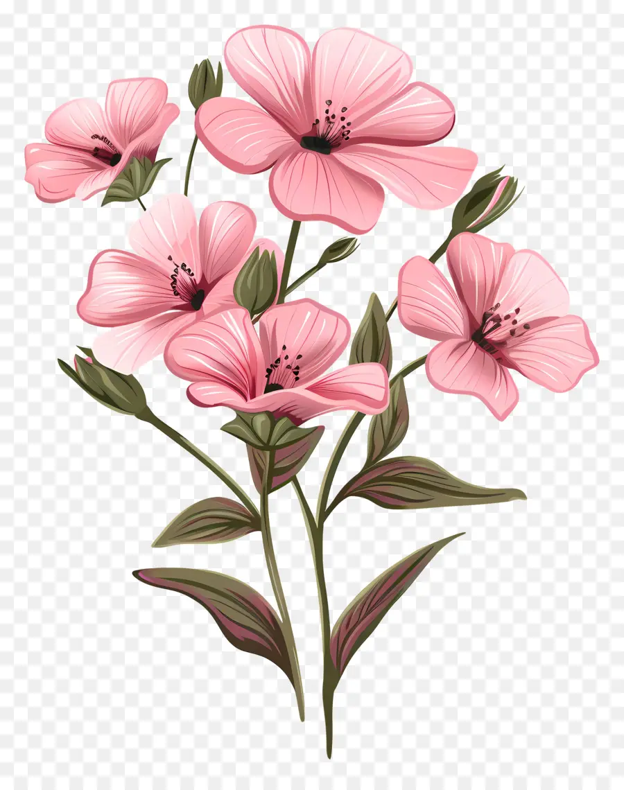 Fleurs Roses，Bouquet PNG