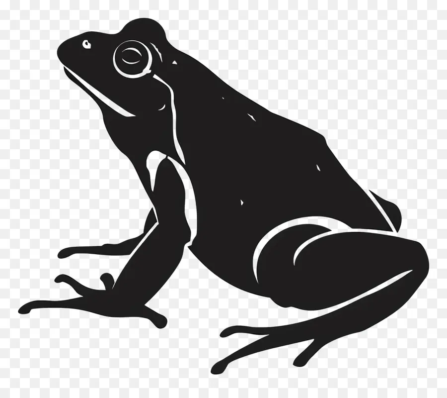 Silhouette De Grenouille，Grenouille PNG