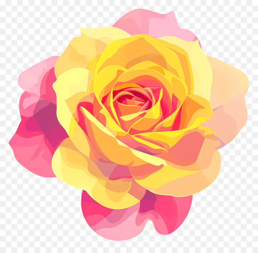 Rose，Floraison PNG