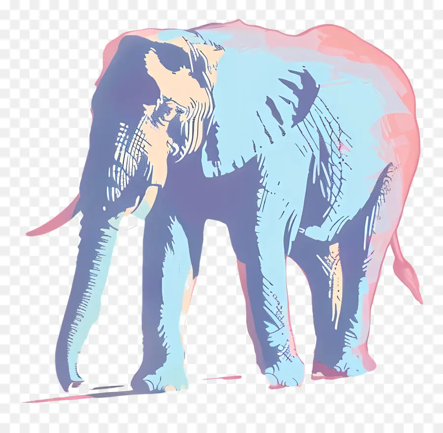 éléphant，Éléphant Coloré PNG